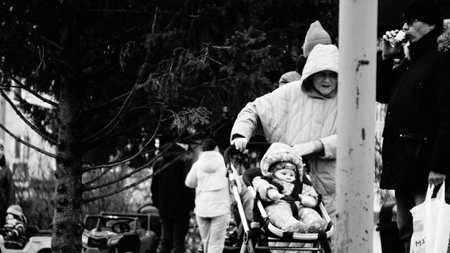 Зима опять пришла- Мамонт