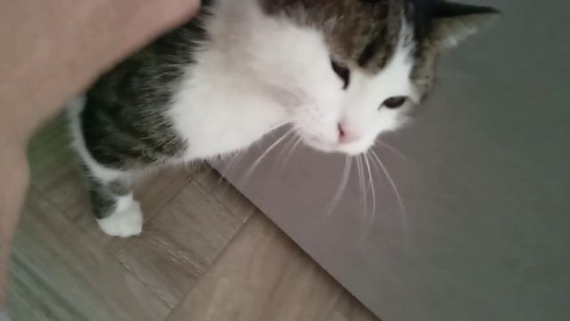 Всё вокруг отмечают 8 Марта, а работаю)) смотреть онлайн