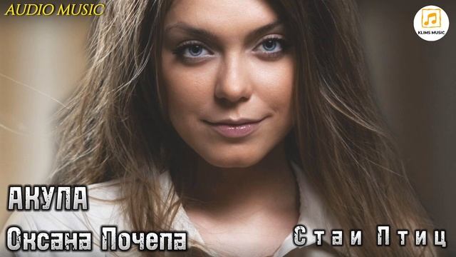 АКУЛА ( Оксана Почепа) - Стаи Птиц / audio music /. mp4 смотреть онлайн