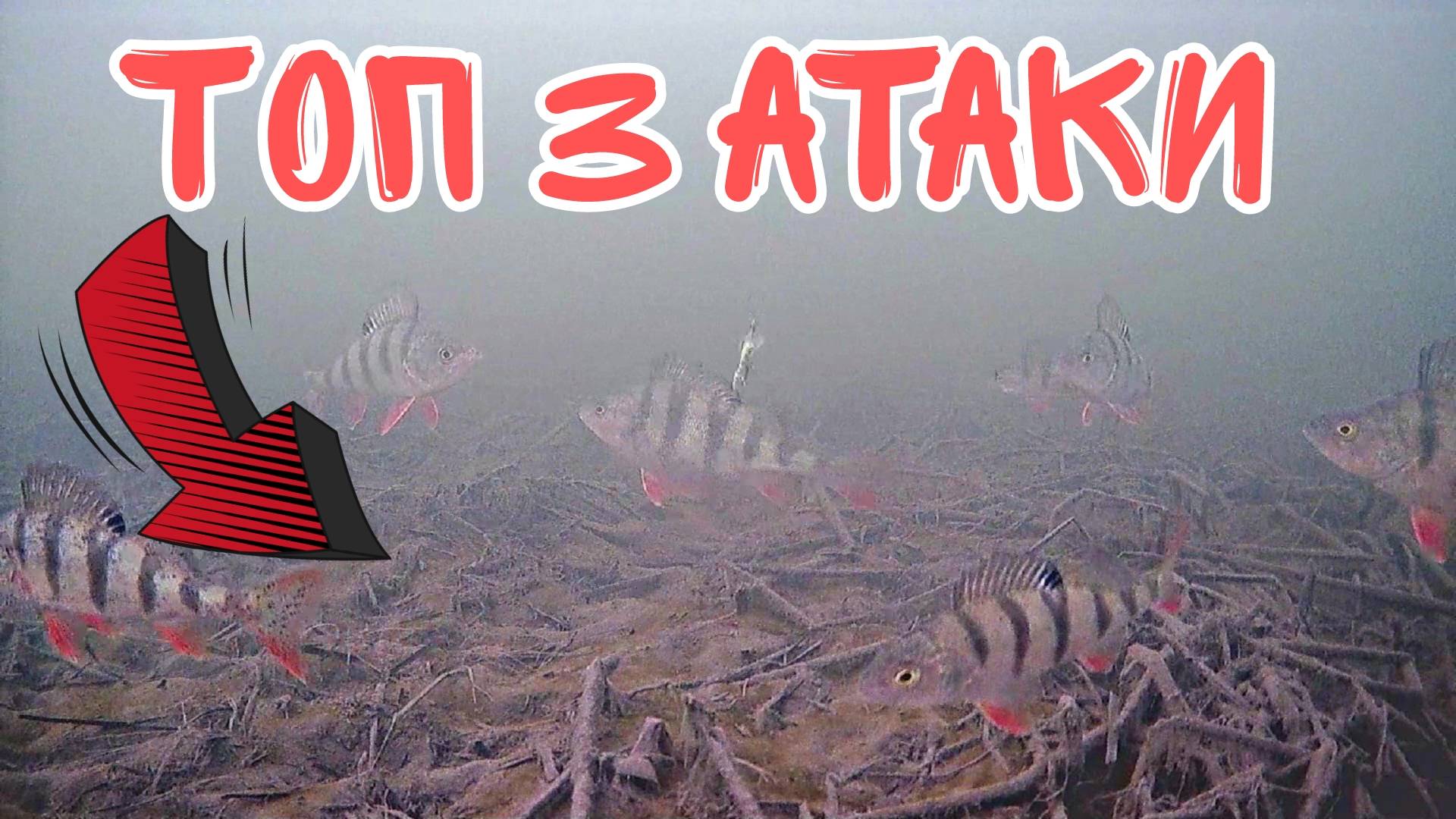 Топ 3 Лучших Атак Окуня на Балансир!!! Подводная съемка. смотреть онлайн