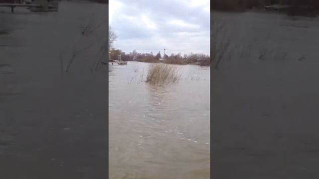 Путь в Заречный глазами водителя К-700 смотреть онлайн