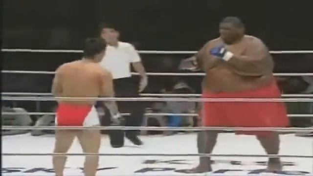 Funny. Sumo vs Boxing (Сумо против бокса) смотреть онлайн