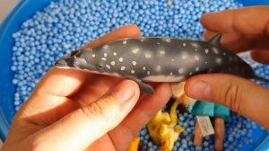 Животные для детей. Пуговицы-львы, динозавры, лягушки, тигры, зебры, слоны