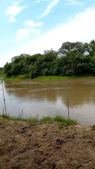 Течёт шняга по реке.