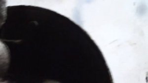 Установка проставок домиков  лада гранта калина 2