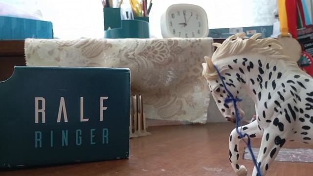 как я появилась на этом КСК? смотреть онлайн