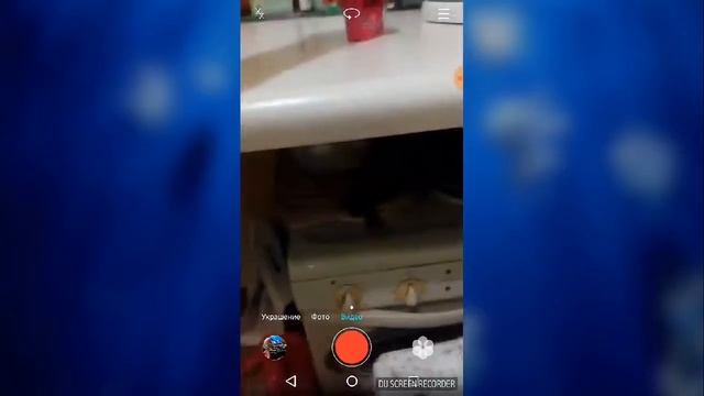 Мой кот знает команду суслик! смотреть онлайн