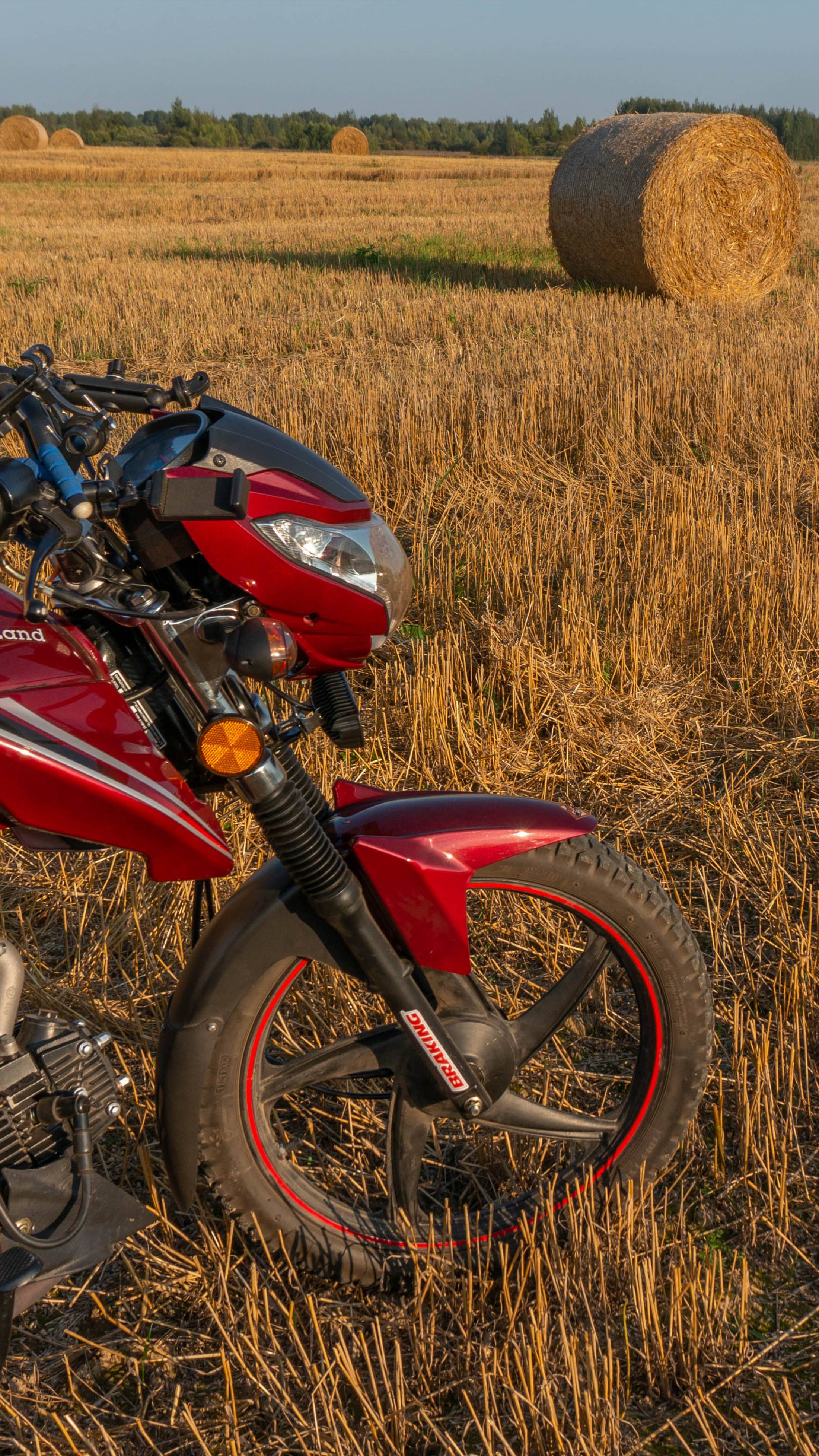 Звук нового мотора Альфы ласкает слух смотреть онлайн