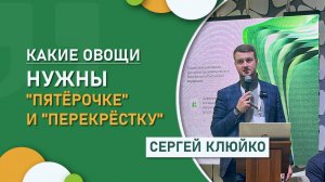 Какие овощи нужны "Пятёрочке" и "Перекрёстку". Агроагрегатор для фермерской продукции