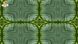 Sweet Dreams - Dark Green Kaleidoscope 6 - BabyTV Israel