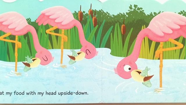 Flamingo | Read Aloud | Kids Book | Readers Kids Library  @readerskidslibrary