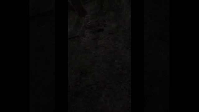 Тарховка 01 05 2024  Vol 1