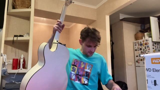 Распакоффка Washburn Ea 40 White!