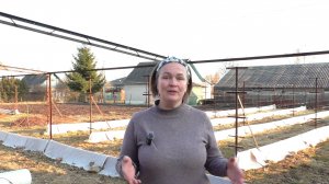 Весенняя обрезка винограда и плач виноградной лозы