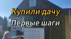 Купили дачу | Первые работы | Начало пути |