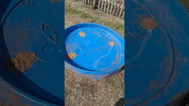 водоём для гусят от газ прома