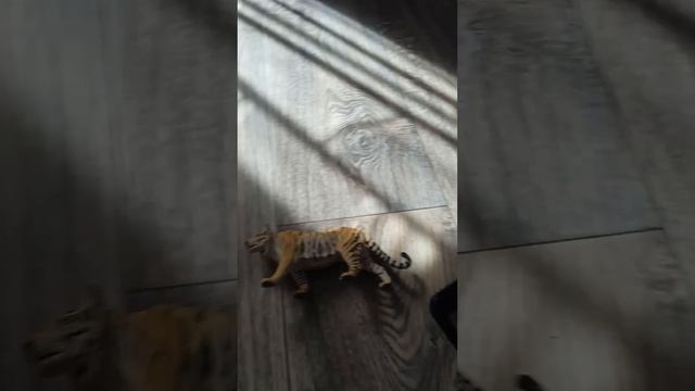 Маленький поросёнок и большой тигр мультфильмы про животных