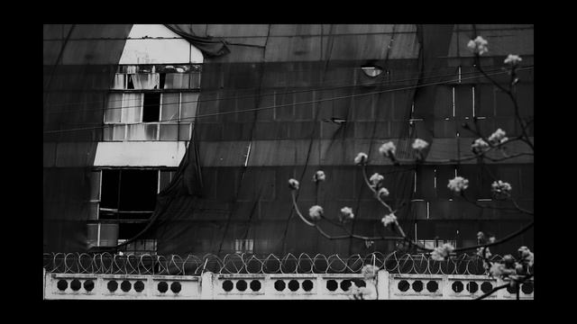 НЕВОД НОВОСТРОЯ