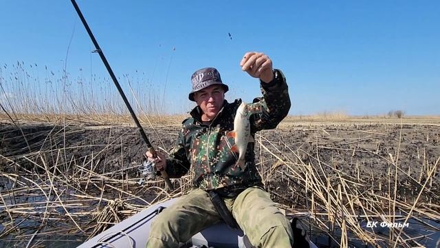 Чем вам краснопёрка не рыба