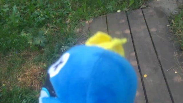 мартышка и домашняя диета