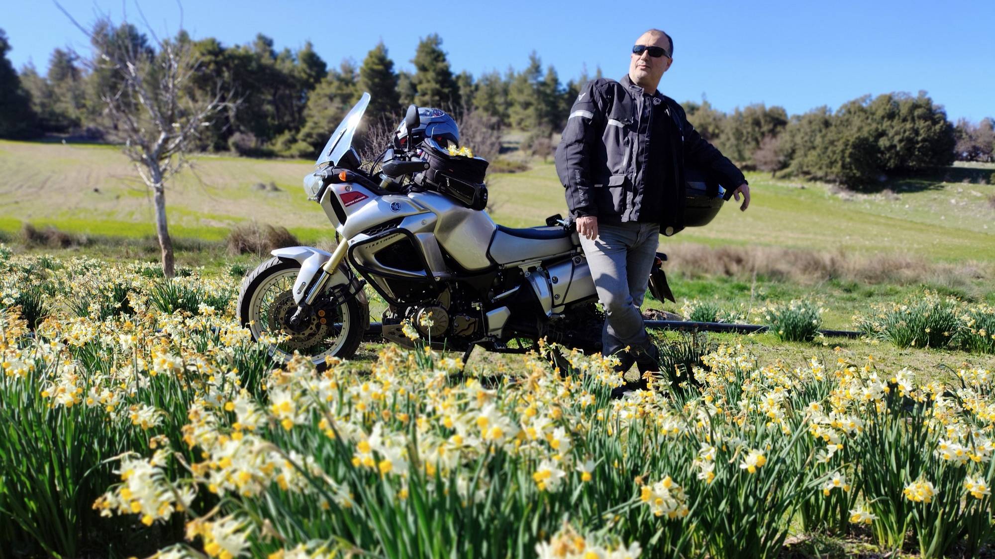 Мартовская мото-прогулка к полю диких нарциссов
