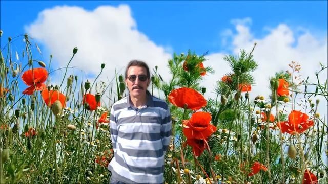 Uşak FM - Bana Yalan Söylediler (Semiramis Pekkan) смотреть онлайн