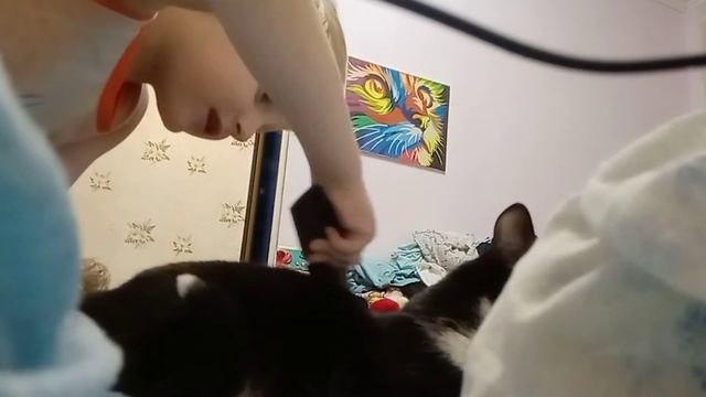 Классно расчёска можно пользоваться смотреть онлайн