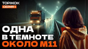 Еду ОДНА НА ВЕЛОСИПЕДЕ из Твери в Торжок. Хочу ночевать в лесу у М11, но он окопан!