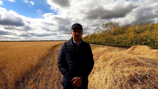 Урожай зерновых в Казахстане 2021: рецепт борьбы с засухой | AgroBiz