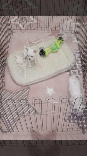 20250305-091958_5tqw5Fo5