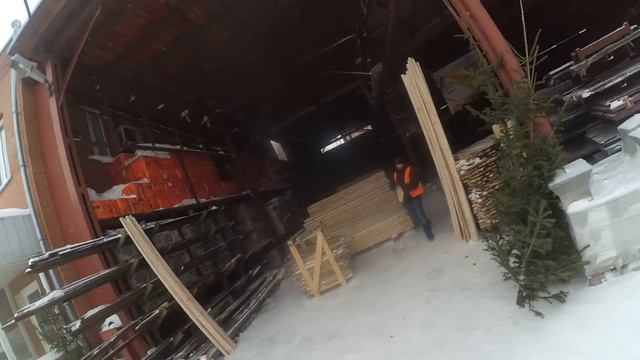 обезьяновый Чалдон