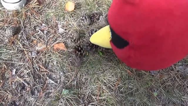 Рабочие машины Экскаватор (трактор) и Грузовичок (самосвал) с Angry Birds учатся считать до 20 смотреть онлайн