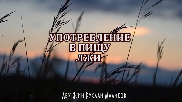 Употребление в пищу лжи смотреть онлайн
