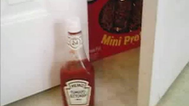 long live Heinz смотреть онлайн