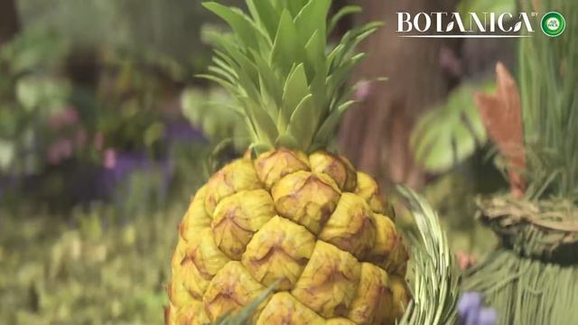Introducing Botanica by Air Wick: Inspired By Nature смотреть онлайн
