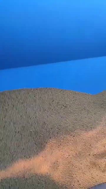 Посев горчицы, сеялка ремсинтез сич 3.6