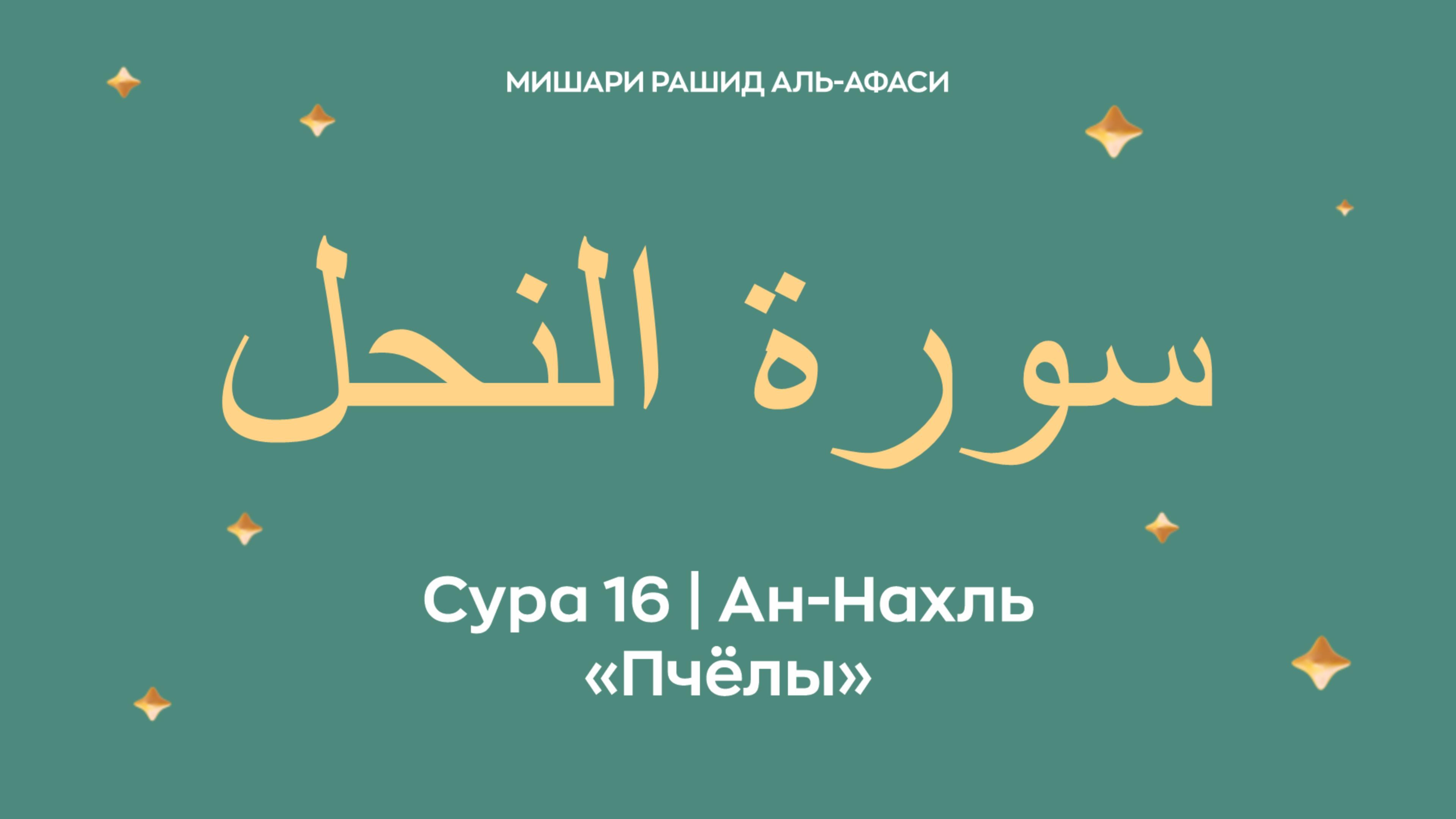 Сура 16 Ан-Нахль — Пчёлы, араб. سورة النحل. Читает Миша́ри ибн Ра́шид аль-Афа́си. смотреть онлайн