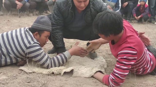 4 айыл кол курош