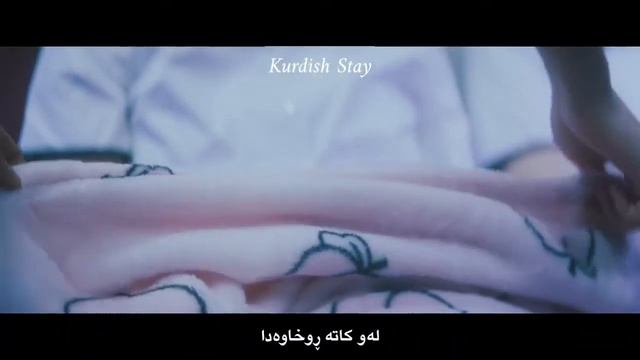 Stray Kids (스트레이 키즈) 