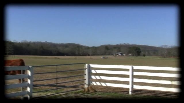 13 Acre Mini Farm - Alabama Land For Sale - Ashville, Alabama смотреть онлайн