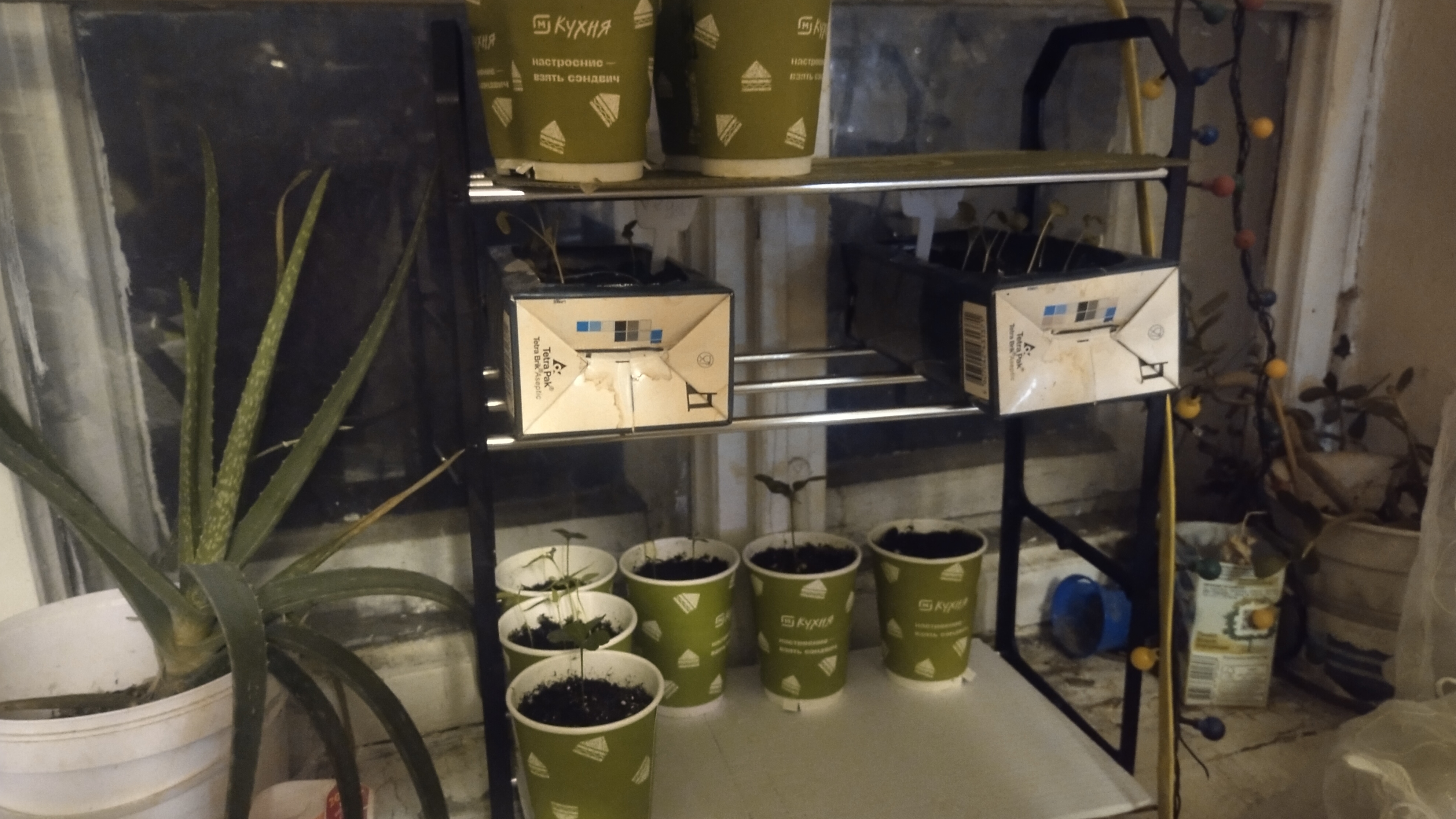 Обувница доляна или стеллаж на подоконник смотреть онлайн