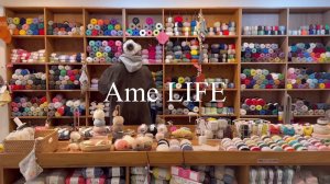 Ame LIFE Влог Экскурсия по магазинам пряжи в Корее и Токио 🇰🇷🗼 Вязание крючком и спицами