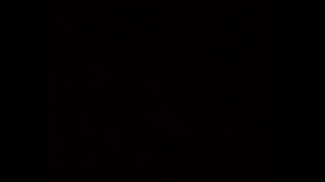 ZWINKY TRANNY ACCOUNT WINNER