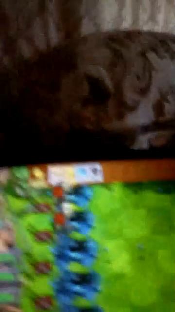 растение против зомби