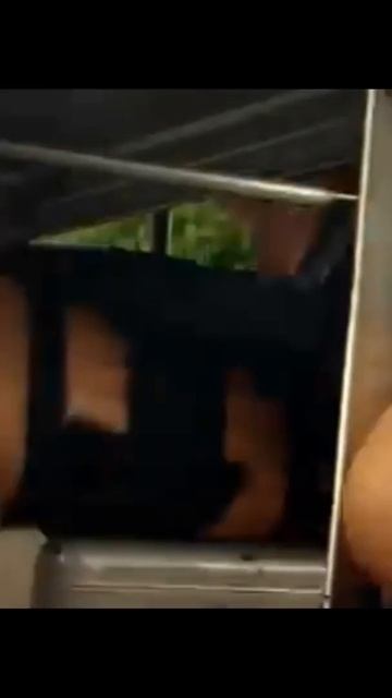 Стетхем С мертвецами не шутят