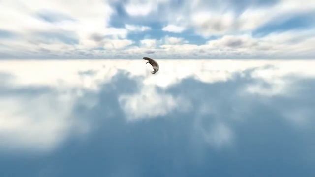 Attack on Shooting Stars смотреть онлайн