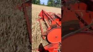 Навесной комбайн BIZON Z 020 на тракторе Т 40