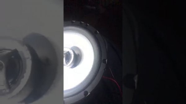 Morel Maximo Ultra 6.5 coax