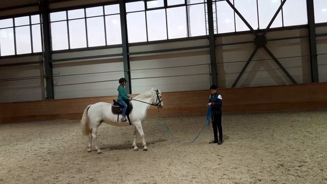 Вероника конный спорт(4)