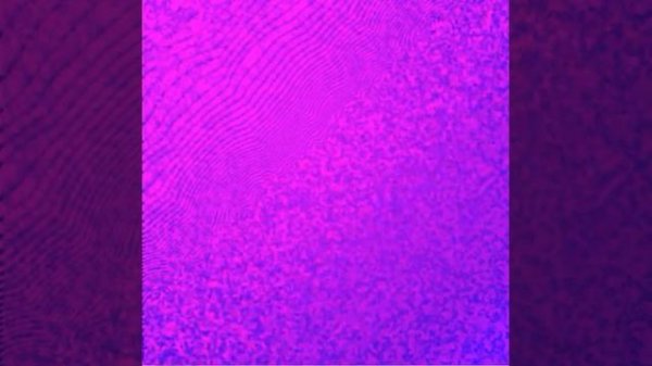 xnxl: question and answer interlude